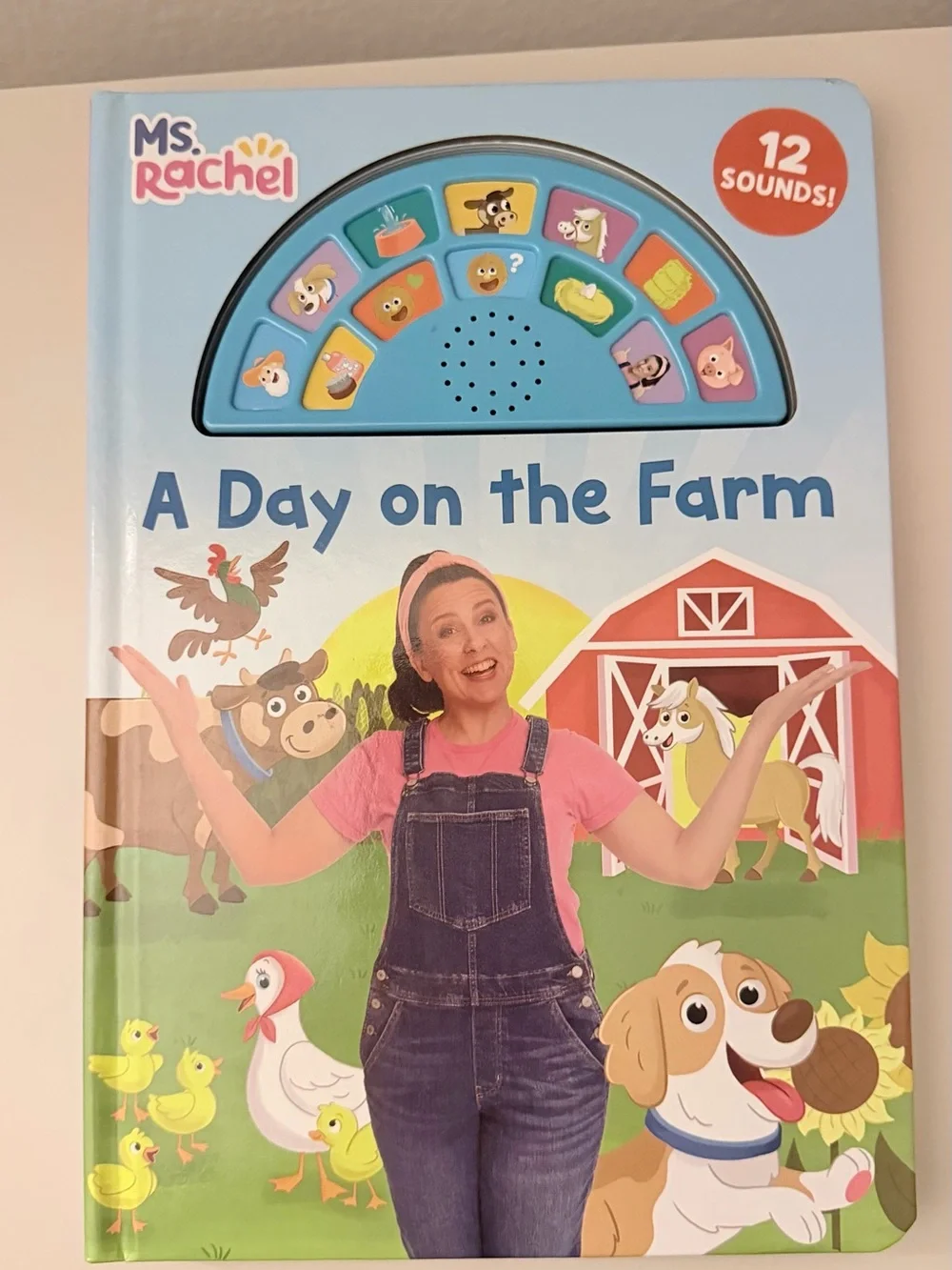 Rachel Farm Sound Book with Blue Panel and Pink Shirt